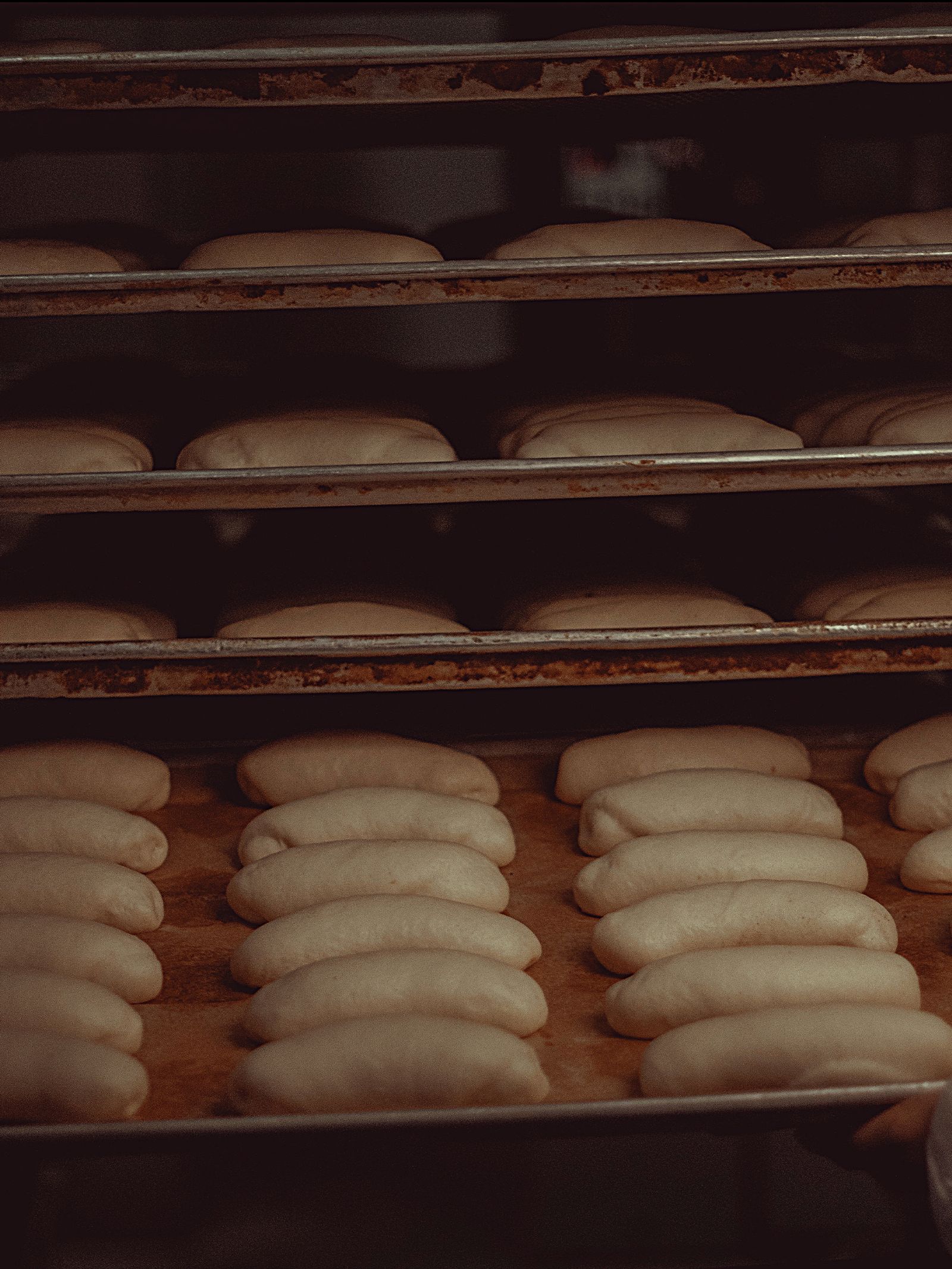 Pâtons de pain alignés sur des plaques avant enfournement