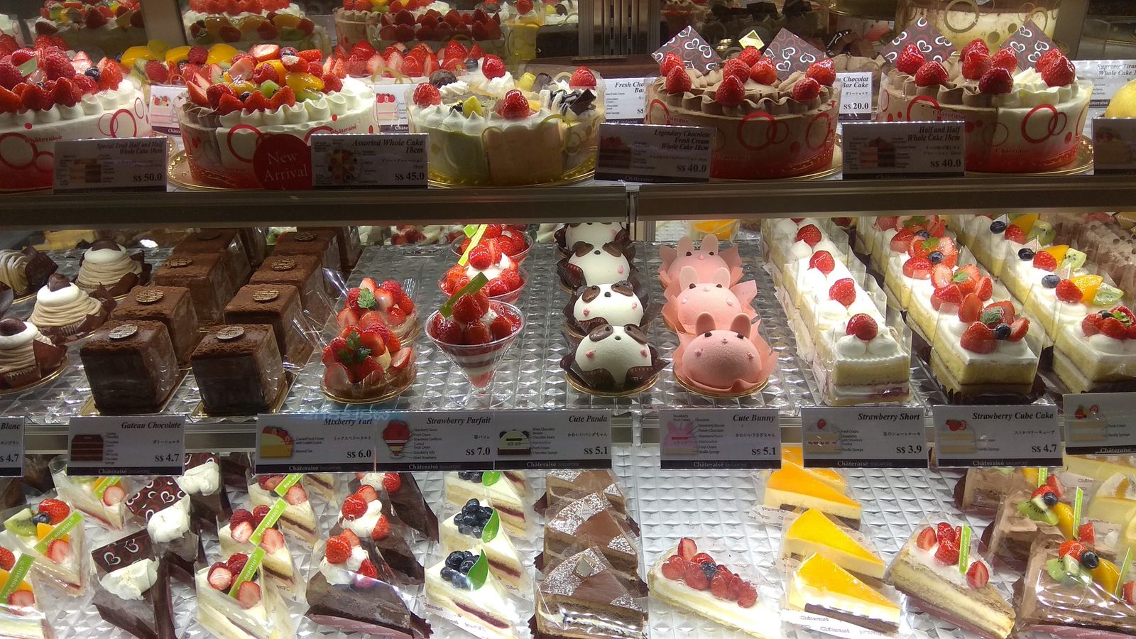 Vitrine réfrigérée alignant des pâtisseries individuelles glacées
